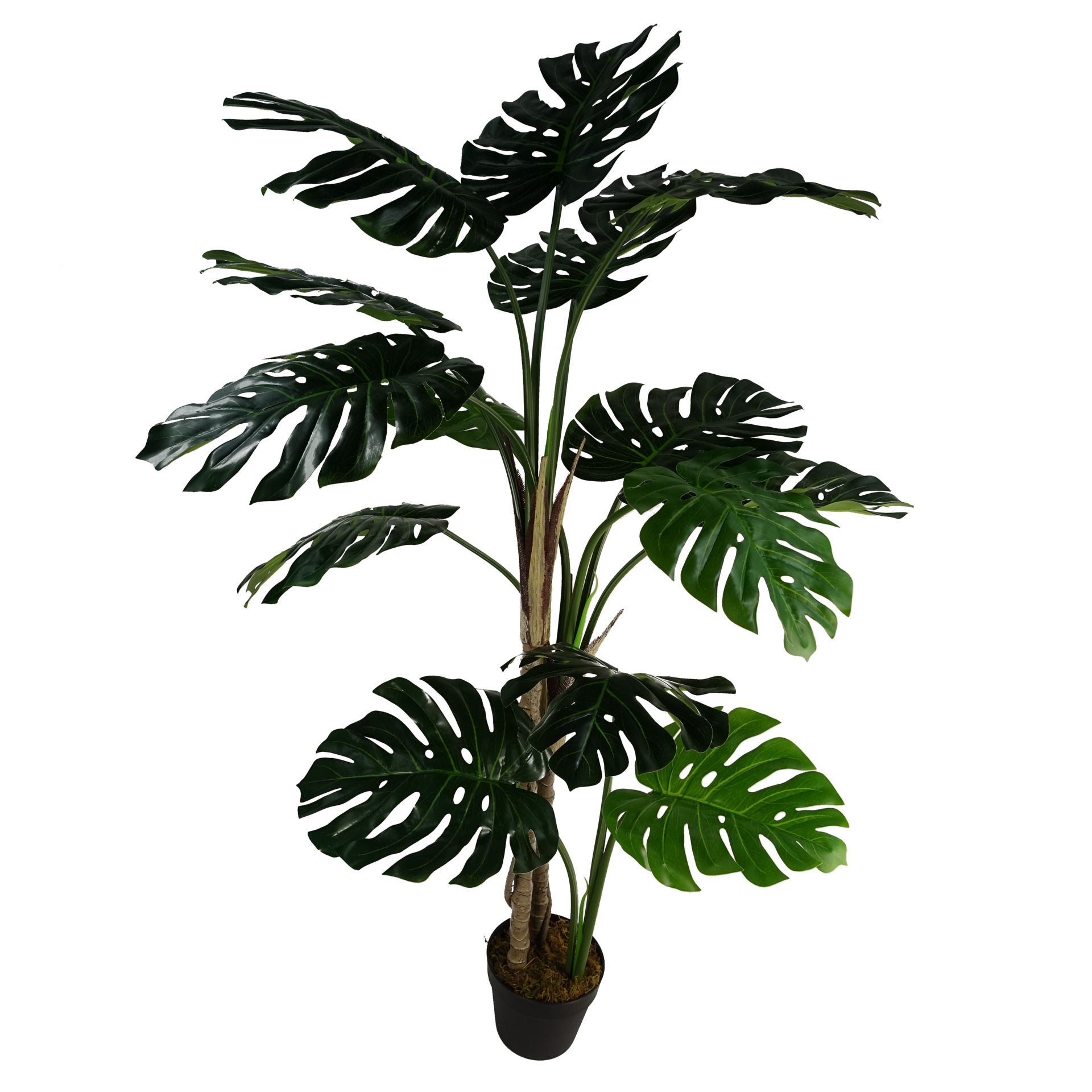 150cm (5ft) Luxury Monstera Plant Black Pot Leaf Artificial Plants