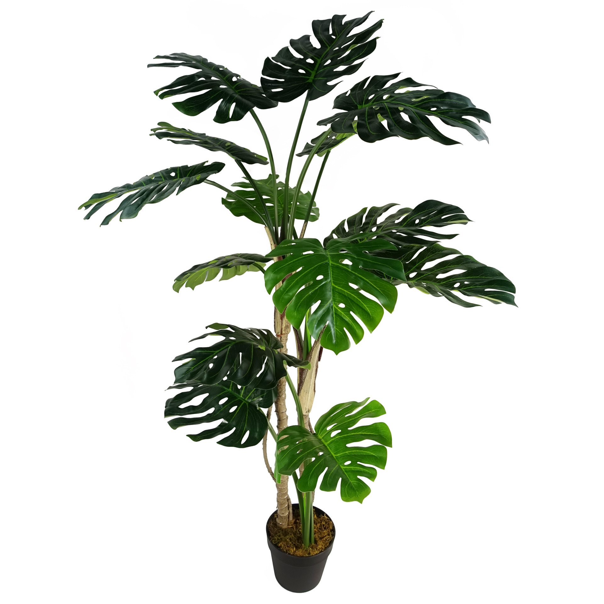 150cm (5ft) Luxury Monstera Plant Black Pot Leaf Artificial Plants