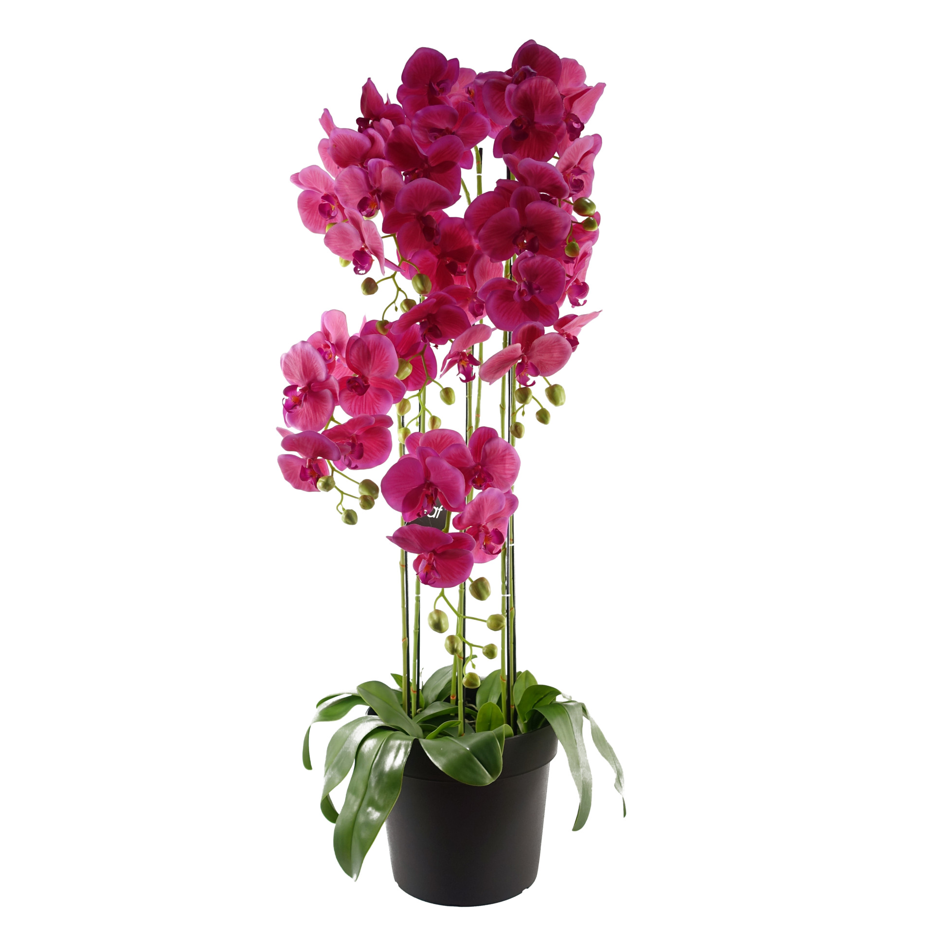 Leaf 110cm Large Pink Orchid Plant - Artifcial - 41 Real Touch Flowers