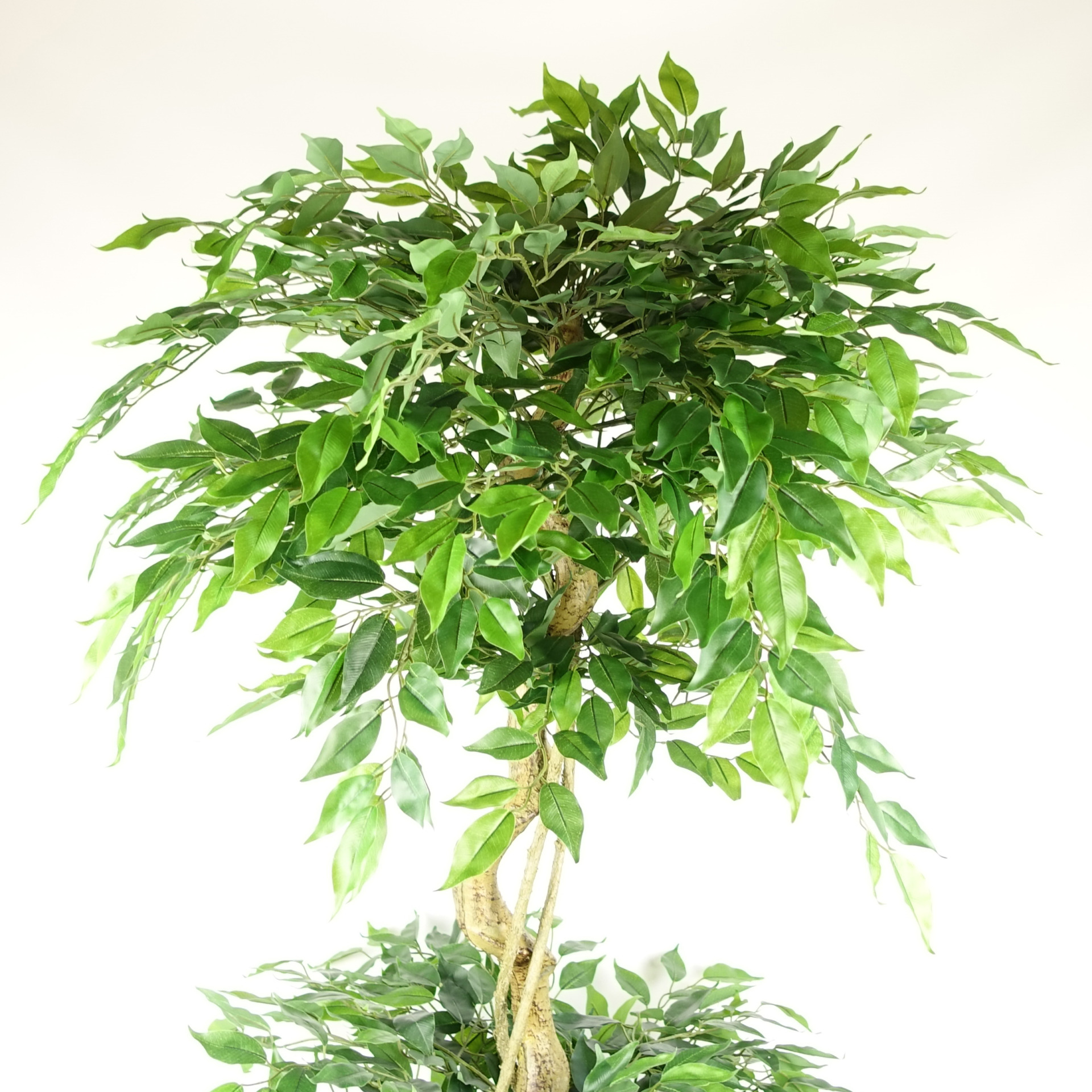 180cm Artificial Twisted Trunk Fruticosa Ficus Tree Triple Ball Topiary