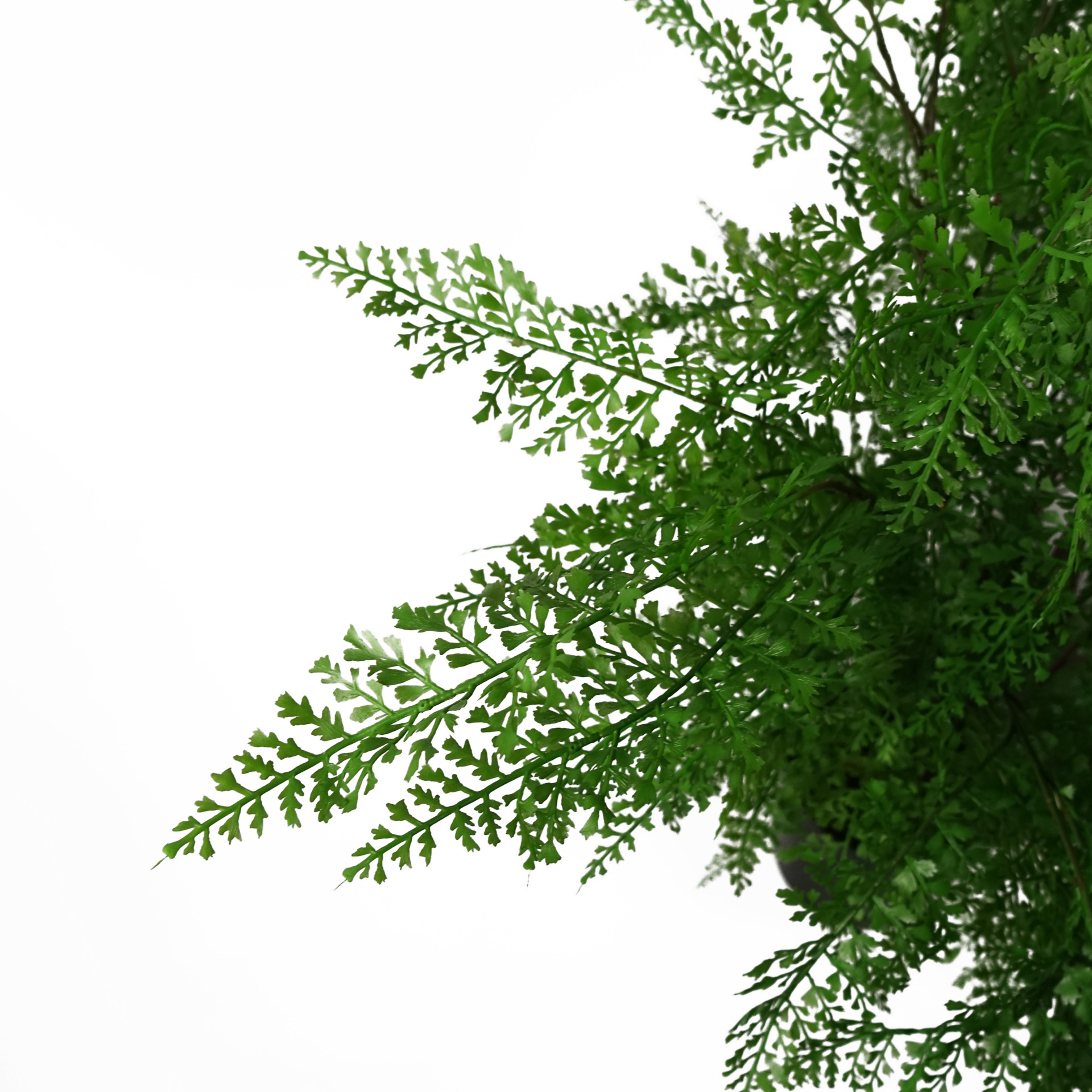 100cm Artificial Maidenhair Fern Plant Leaf Artificial Plants & Trees