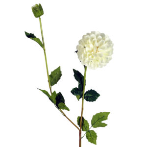 75cm Artificial Dahlia PomPom Flower Stem Cream