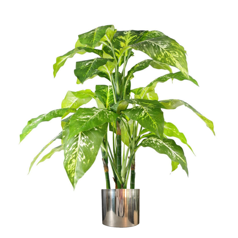 100cm Large Fox’s Aglaonema (Spotted Evergreen) Tree Artificial Plant