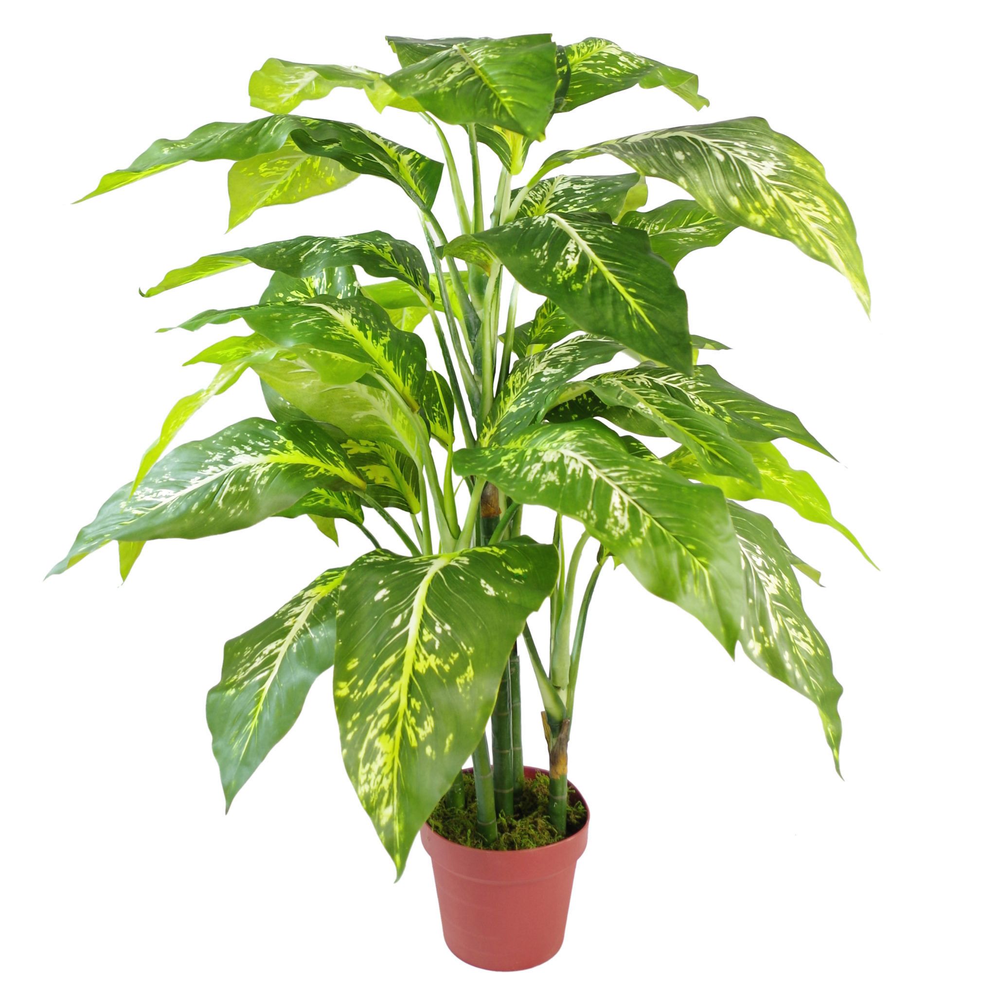 100cm Large Fox’s Aglaonema (Spotted Evergreen) Tree Artificial Plant