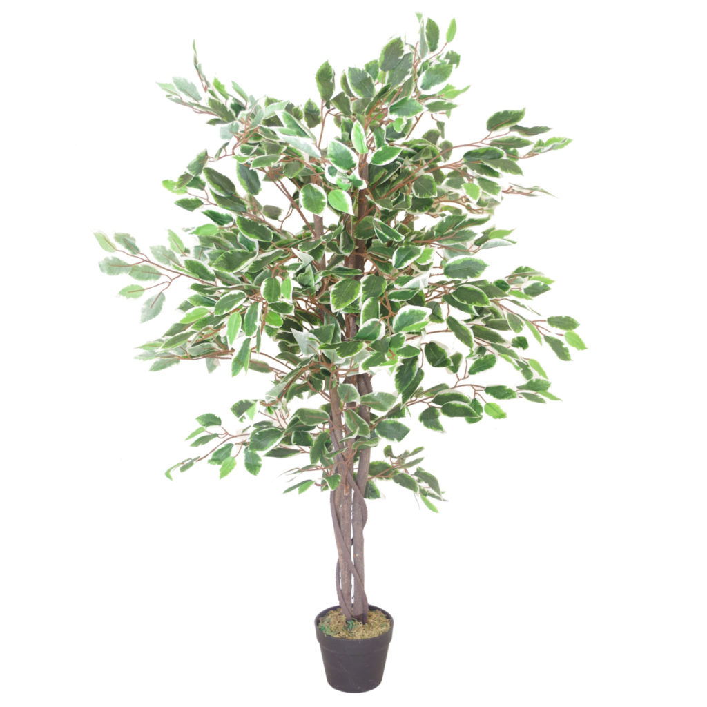 UK Supplier of Stunning Artificial Plants, Trees and Toipary