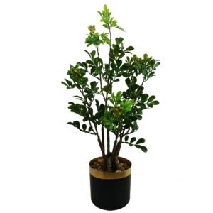 60cm Artificial Aglaia Odorata Bonsai Ficus Tree