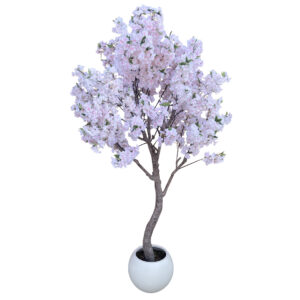 XXL Cherry Blossom Tree 2.6m (260cm) With Decorative Planter
