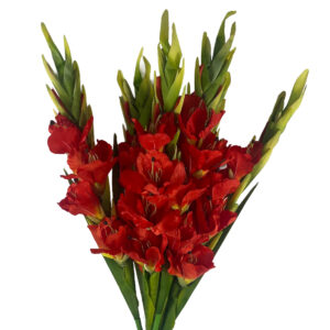 Pack of 6 x 115cm Artificial Orange Gladioli Stem