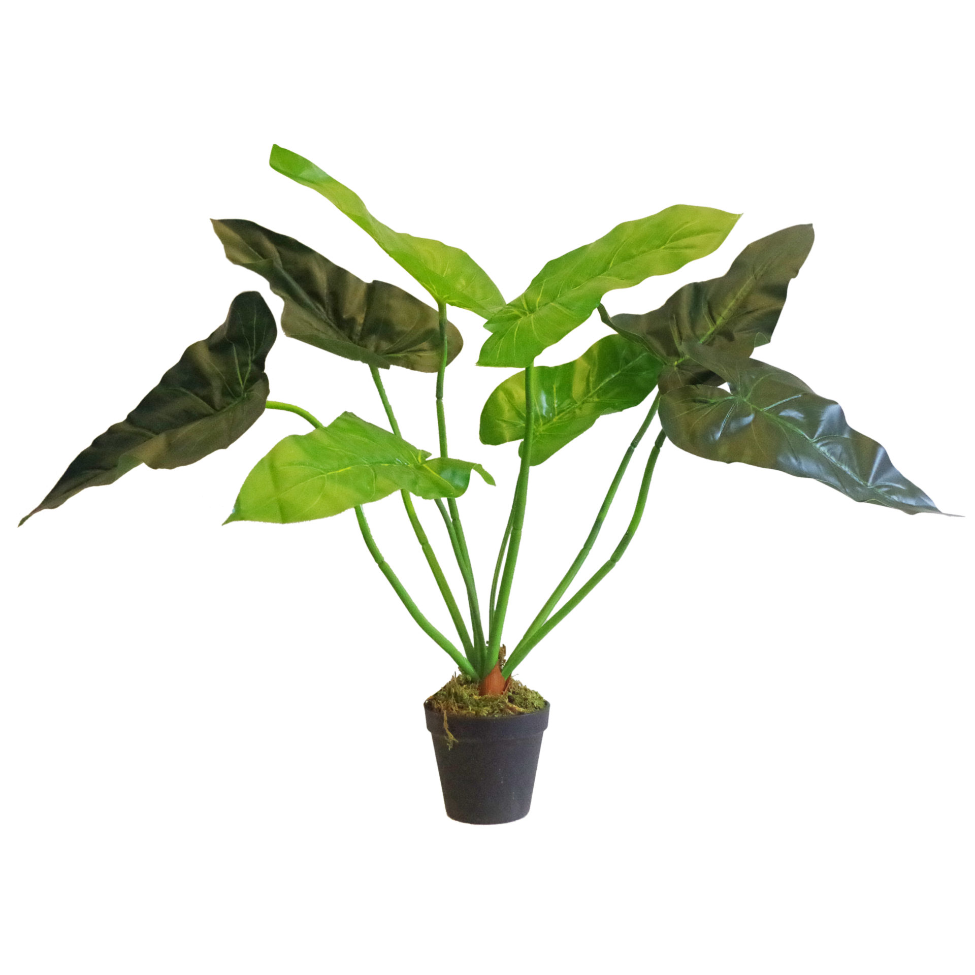 Foliage Plants by Leaf Design UK Plants Leaf Artificial Plants