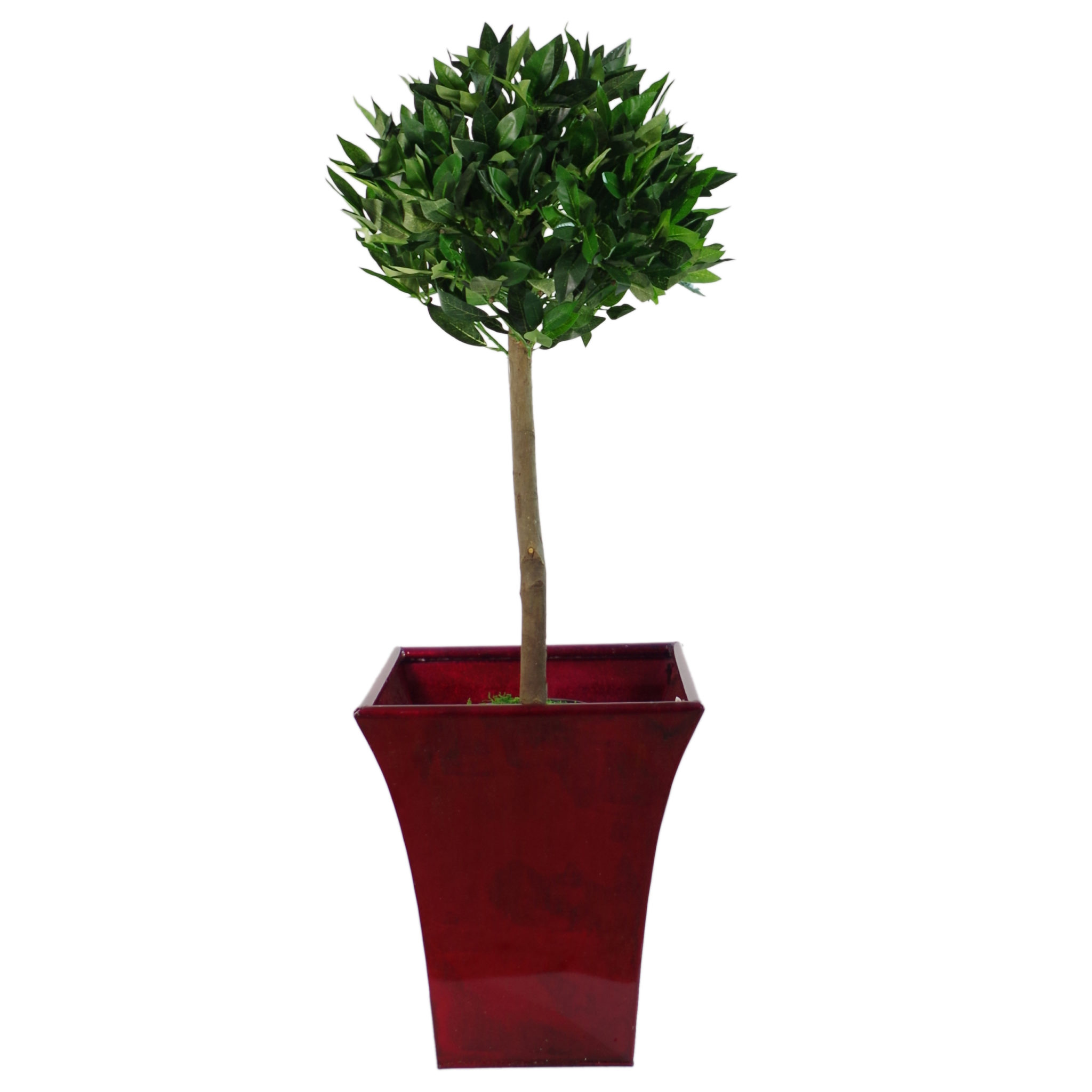 Deluxe Luxury Artificial Bay Leaf Laurel Tree Topiary Ball 90cm (3ft) Tall Leaf Artificial