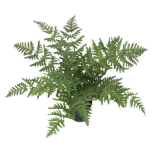 50cm Luxury Artificial Evergreen Fern Plant