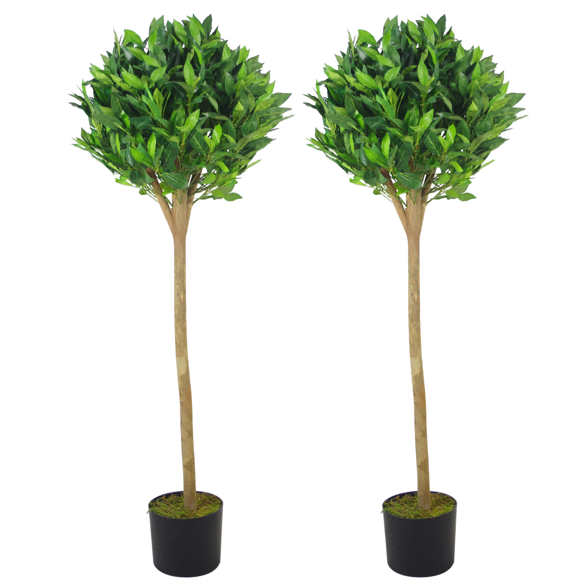 Pair of 120cm (4ft) Tall Luxury Deluxe Artificial Bay Leaf Laurel Trees
