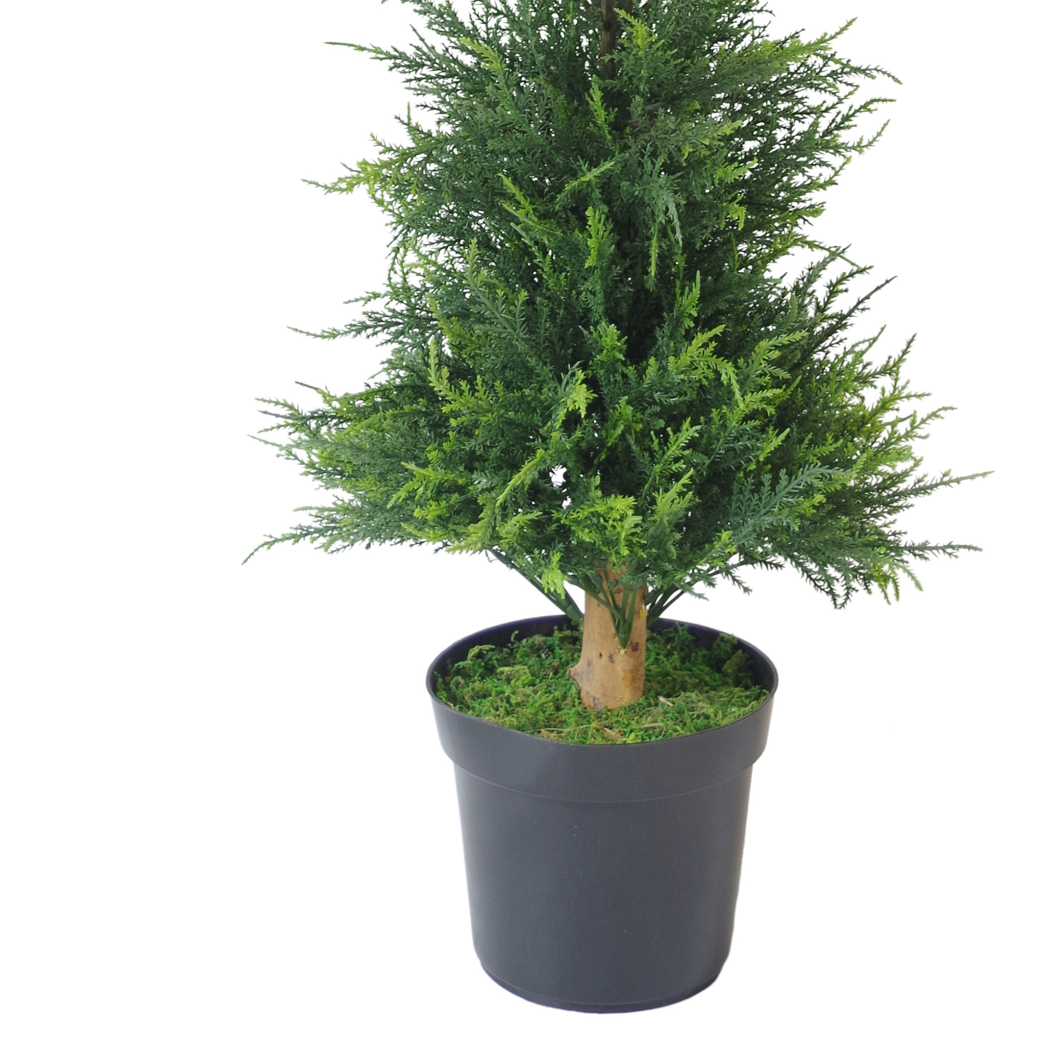 PAIR of 120cm (4ft) Artificial Bushy Cedar Cone Cypress Conifer Topiary