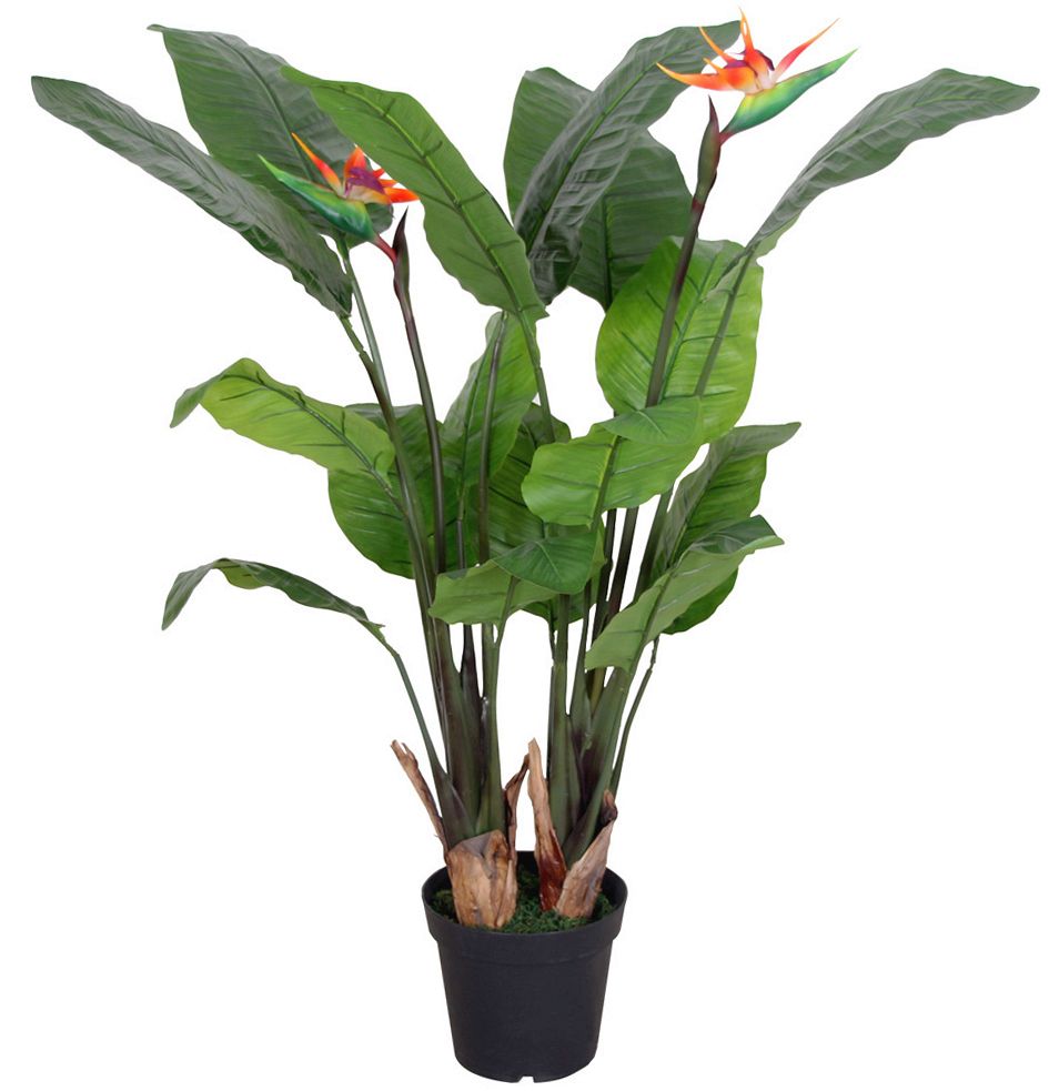 120cm (4ft) Artificial Bird of Paradise Plant (Strelitzia) Extra