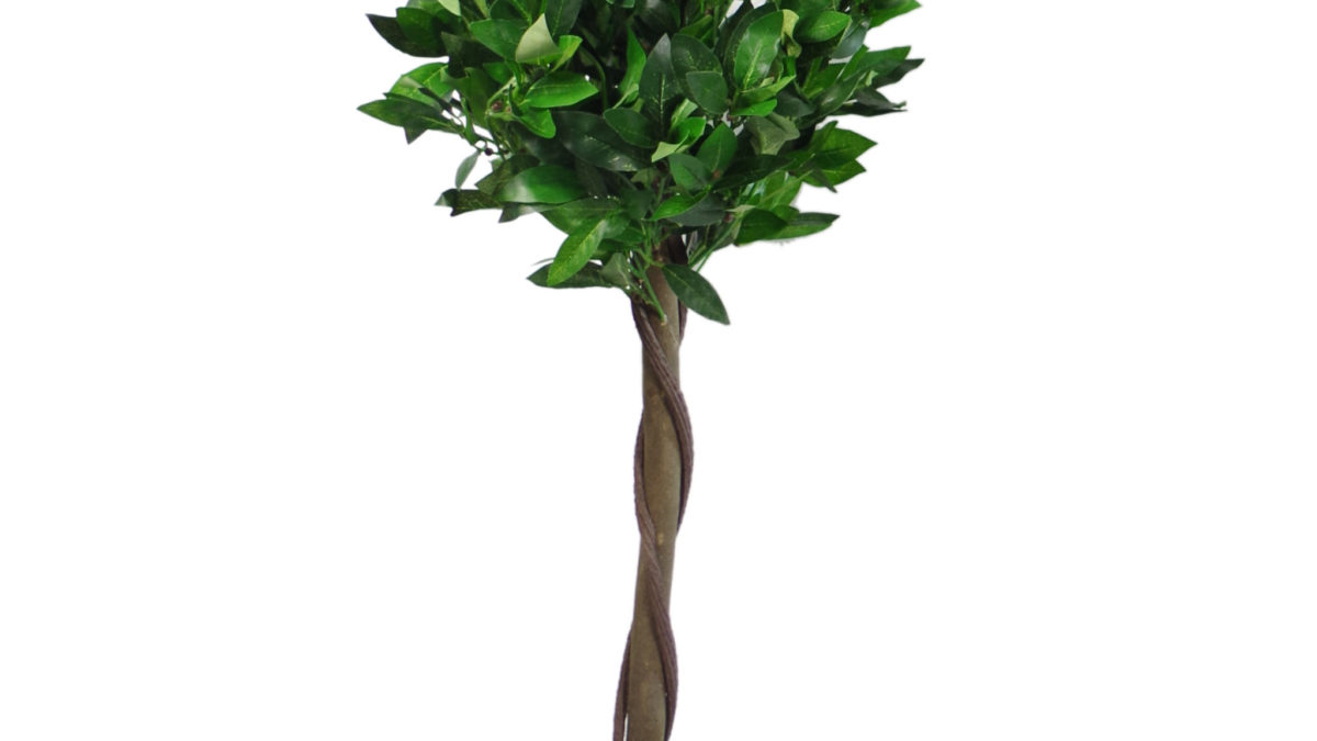 3 ft 90 cm Twist environ 0.91 m Leaf Paire Tige artificiel topiaire Bay Laurel Ball arbres vert 