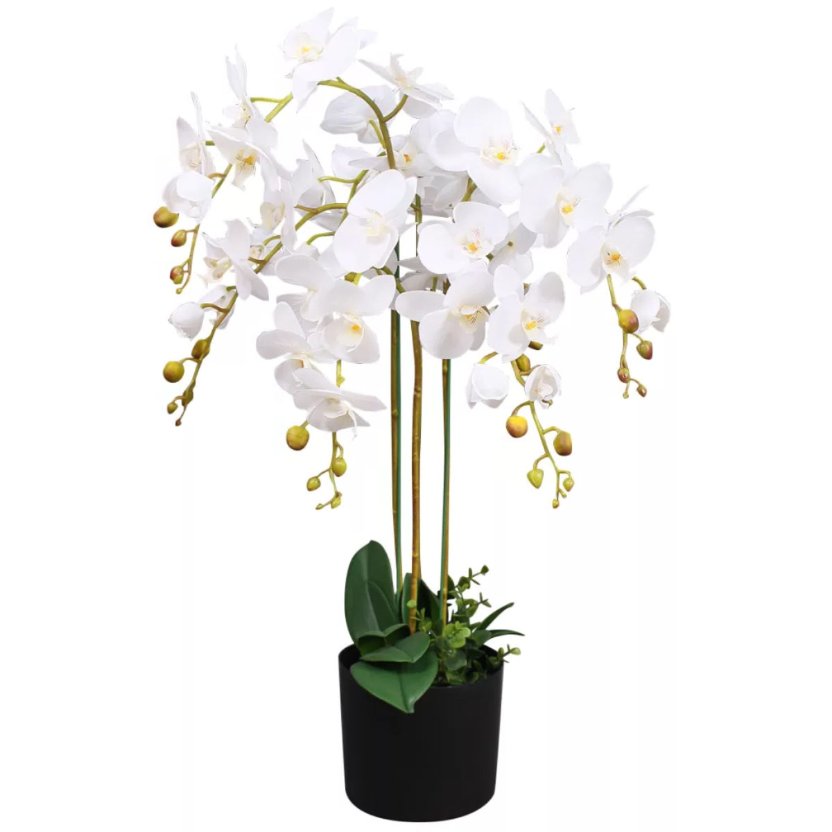 Orchids by Leaf Design UK Plants Leaf Artificial Plants