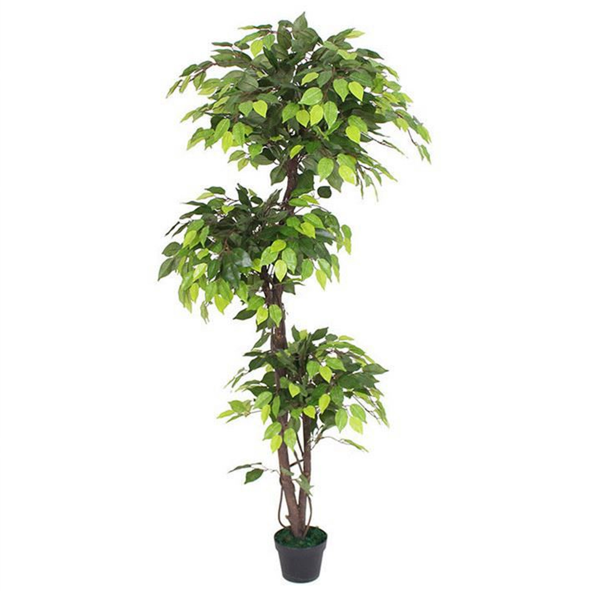 150cm Natural Trunk Artificial Japanese Fruticosa Style Ficus Tree