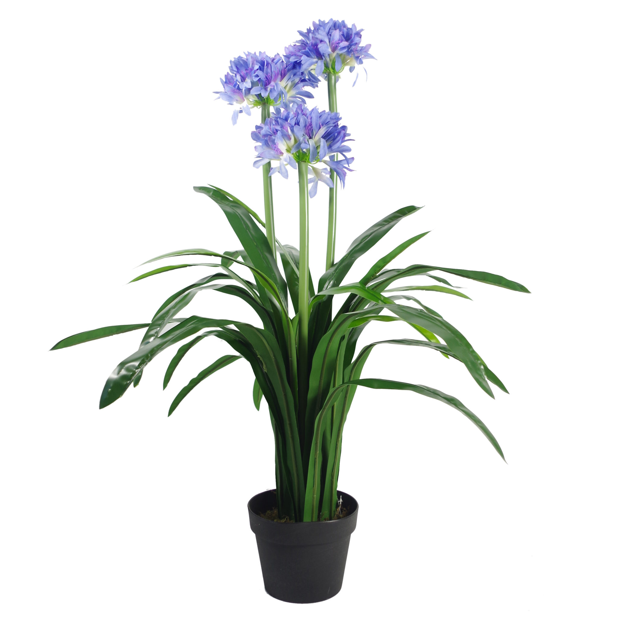 90cm Premium Artificial Agapanthus with pot BLUE Leaf Artificial Plants