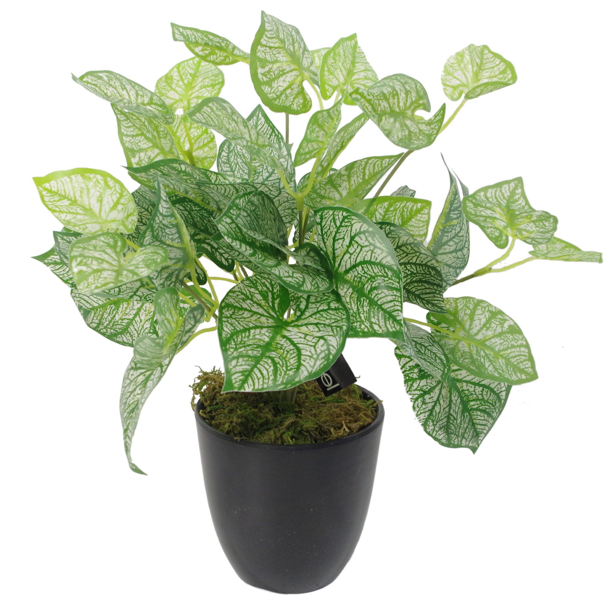 40cm Artificial Caladium Plant with pot Leaf Artificial Plants & Trees