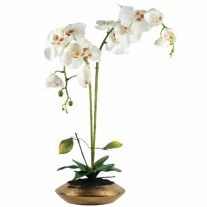 70cm Artificial Orchid White with Gold Dish Ceramic Planter