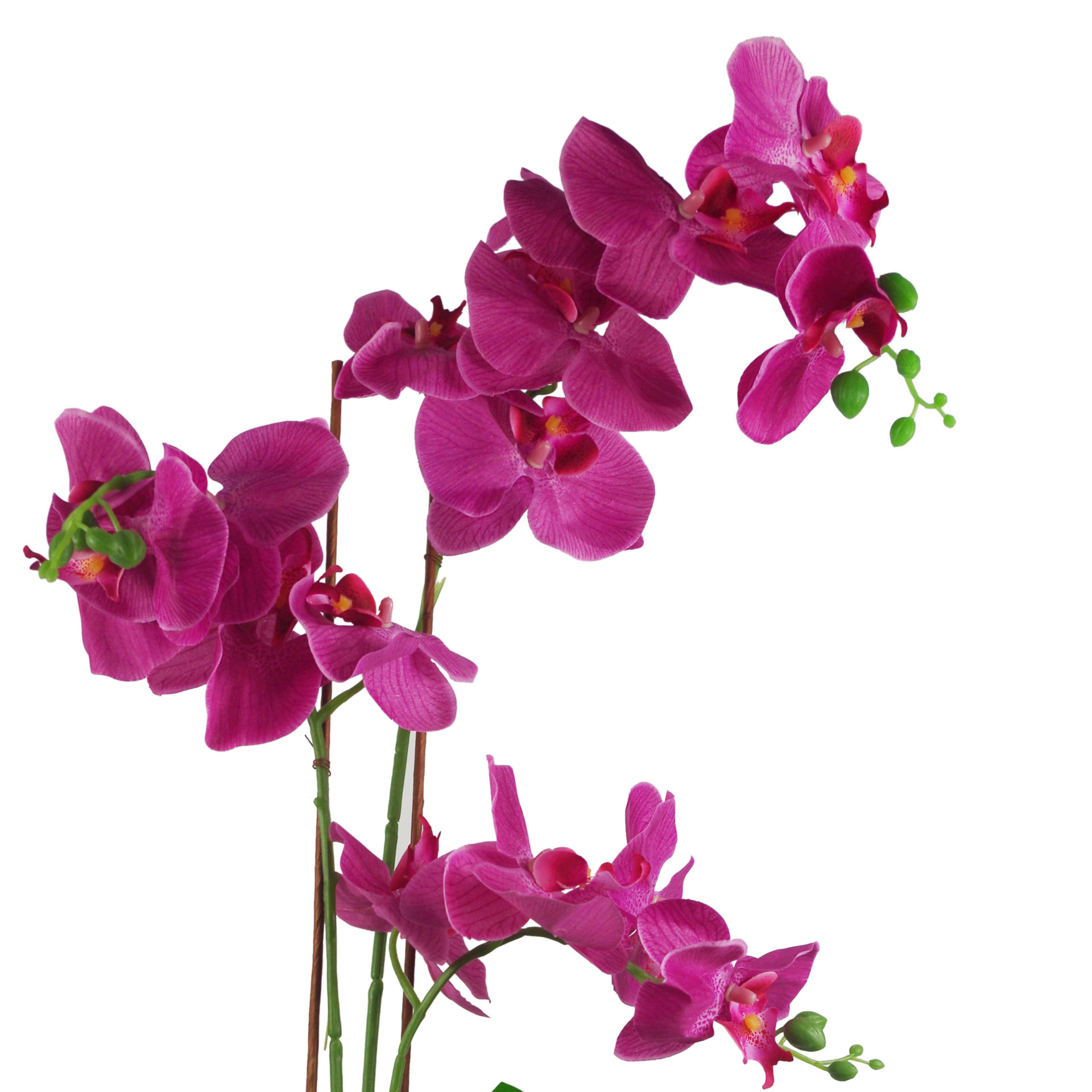 65cm Artificial Orchid Dark Pink in Glazed Planter - Leaf Artificial Plants