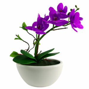 24cm Purple Artificial Orchid in White Ceramic Display Planter