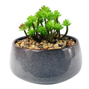14cm Ceramic Blue Dish Planter with Artificial Sedum Clavatum Plant