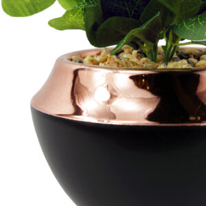 LEAF-7446-7447-7448-2