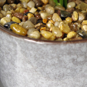 LEAF-7462-7463-7464-7461-7465