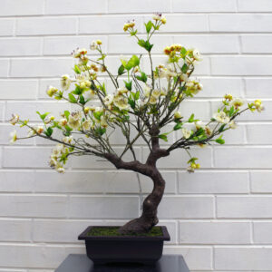 60cm Artificial White Blossom Bonsai Tree