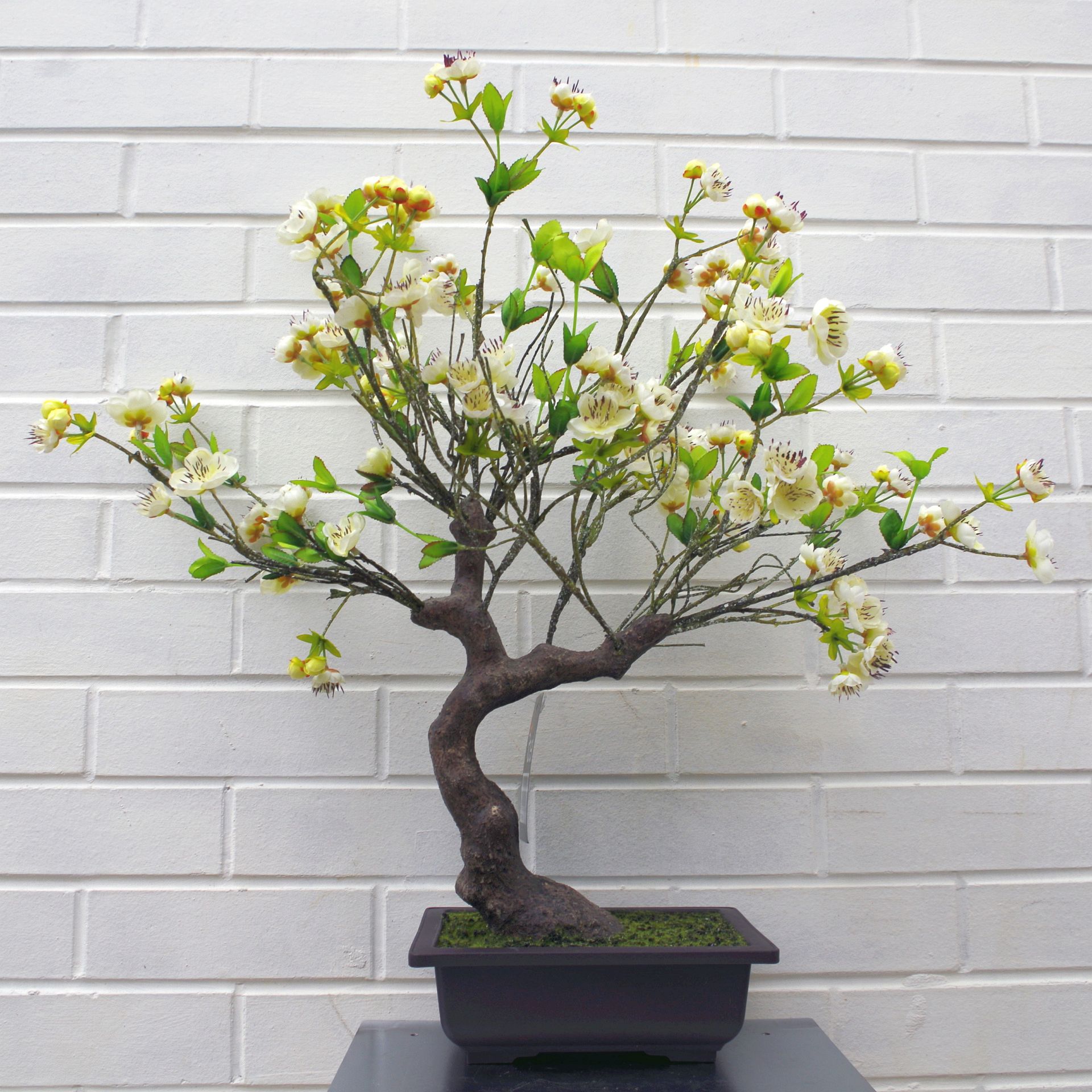 60cm Artificial White Blossom Bonsai Tree – Leaf Artificial Plants & Trees