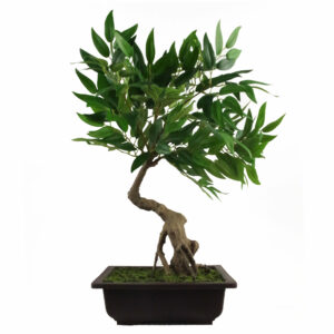 50cm Artificial Ruscus Acacia Bonsai Tree