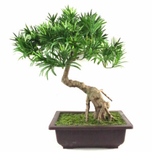 40cm Artificial Podocarpus Pine Bonsai Tree