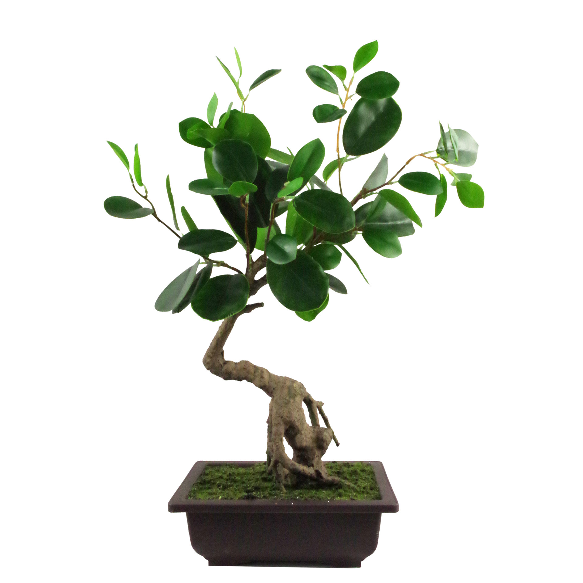 50cm Artificial Ficus Rounded Leaf Bonsai Tree Leaf Artificial Plants