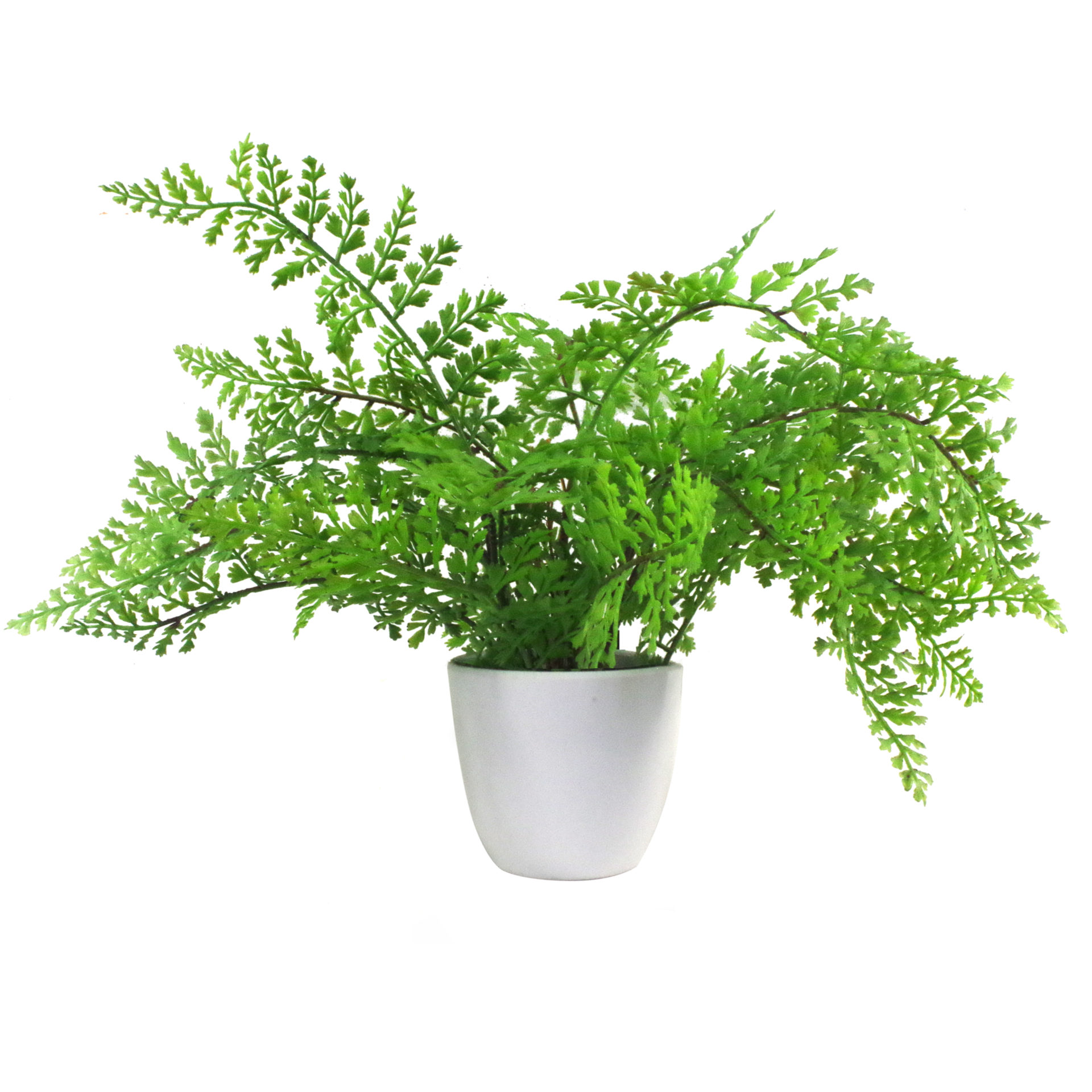 30cm Artificial Potted Royal Fern Leaf Artificial Plants & Trees