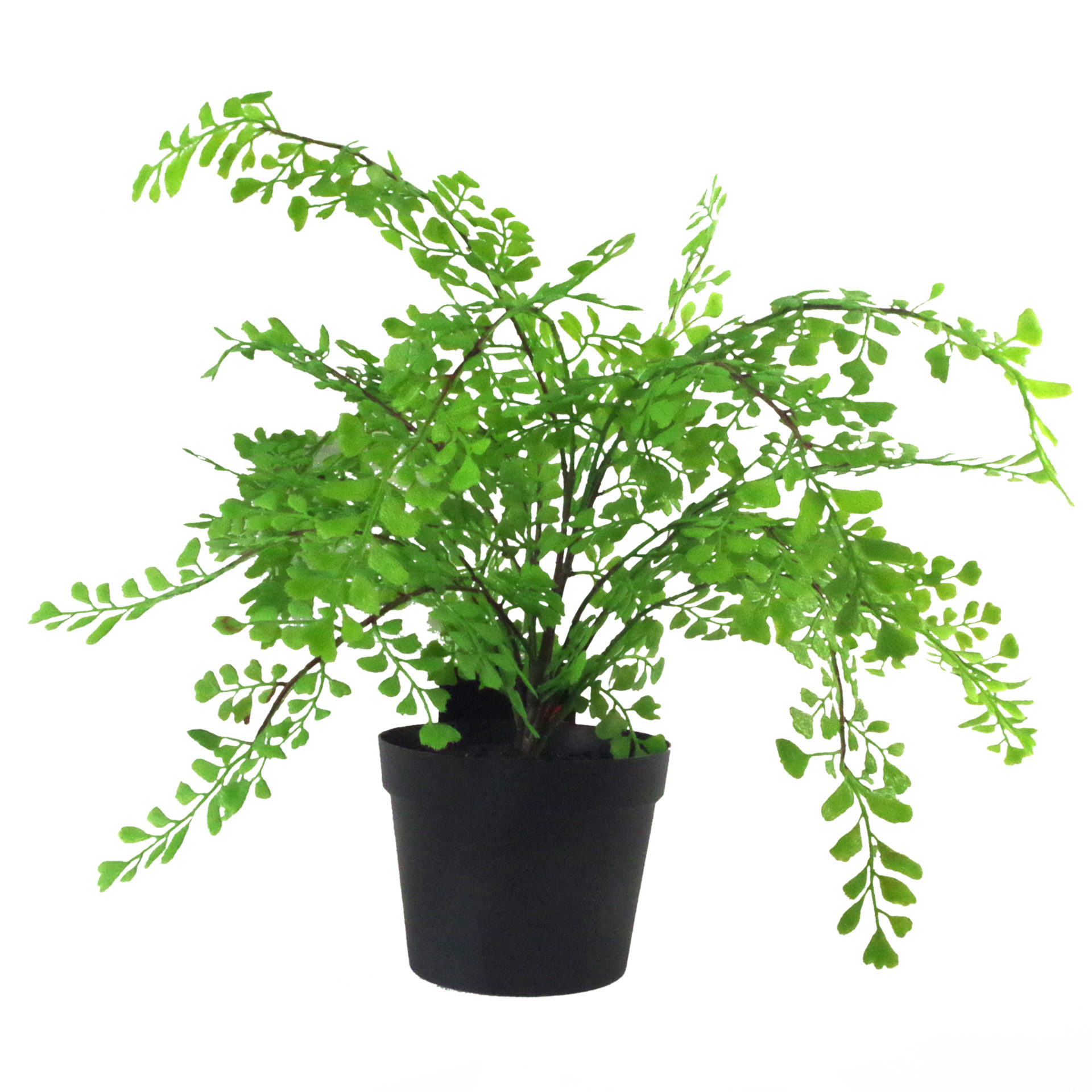 35cm Artificial Potted Fern Plant (Southern Maidenhair Fern) Leaf