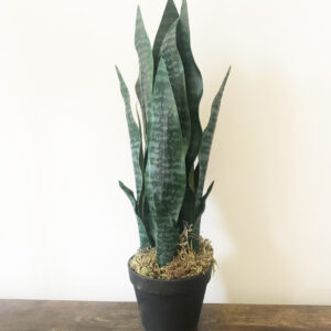 50cm Artificial Sansevieria Dark Green Indoor Plant