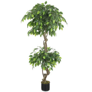 150cm Artificial Twisted Ficus Tree