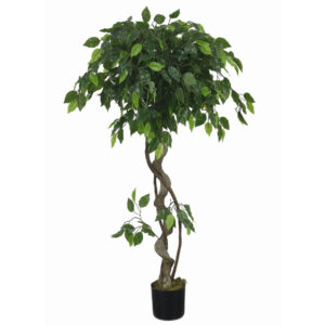 120cm Artificial Twisted Ficus Tree