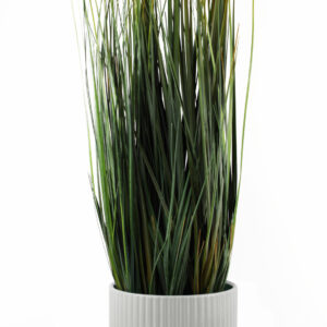 Artificial Grass Plant With White Ceramic Planter
