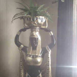 Customer photo of ferns