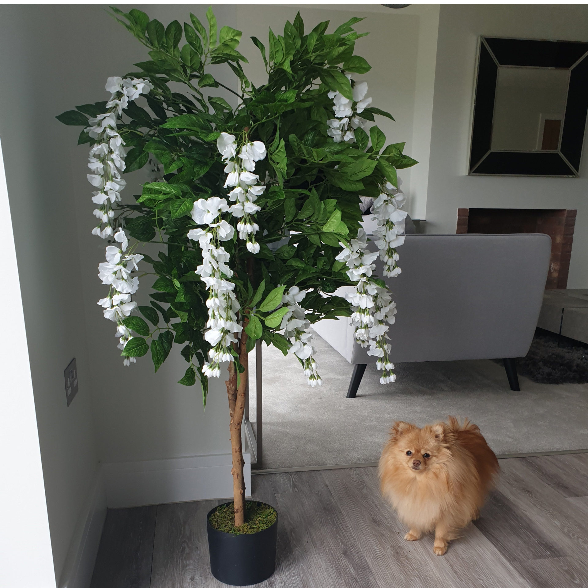 130cm Luxury Artificial Wisteria Tree White Flowers Premium Range